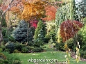 wbgarden autumn 66